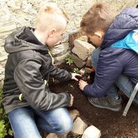 Naturdetektive unterwegs