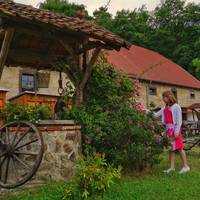 Schäferhof Langenstein