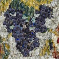 Abendveranstaltungen im Heineanum