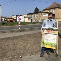 Bienenfreundliche Beetfläche an der Gröperstraße