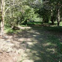 Naturnahe Grabstätten - Neue Bestattungsmöglichkeiten auf dem Friedhof