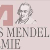 Weihnachtshöfe auch in der Moses Mendelsohn Akademie