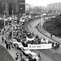 Buche, Kiefer und Eiche für den Tag der Deutschen Einheit