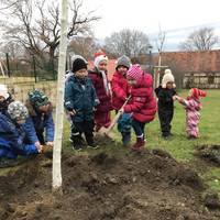 Kinder pflanzen einen Baum