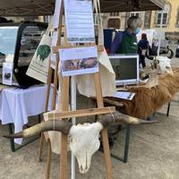 Marktplatz On Tour