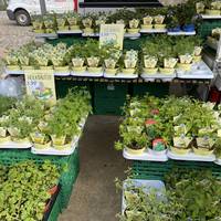Marktplatz On Tour