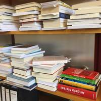 Regal-gelieferte-Bücher