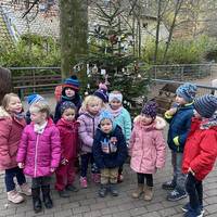 Kinder aus der Kita Waldblick II schmücken den Weihnachtsbaum im Halberstädter Tiergarten