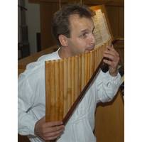 Konzert im Dom zu Halberstadt am 9.7.2011