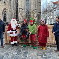 Weihnachtsbaum für alle