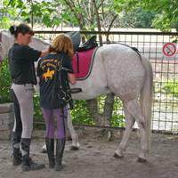 Alles begann mit einem verwahrlosten Pony, die Pferdeschule von Halberstadt