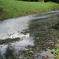 Das Umweltamt informiert