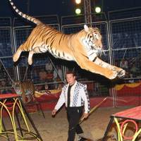 Raubtiere, Seiltanz und Rapper in der Manege