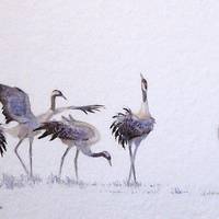 Der Flug der großen Vögel - Wiederholung der Abendveranstaltung