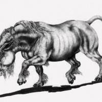 Das Einhorn und sein scharfer Zahn - Nachrichten aus der kalten und der warmen Eiszeit.