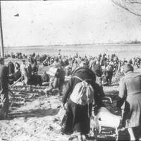 Flüchtlinge nach der Bombardierung auf Halberstadt am 8. April 1945