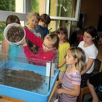 Kleine Forscher im Schachdorf Ströbeck