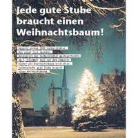 Ein Weihnachtsbaum für den Domplatz  Eine Aktion von Halberstädtern für Halberstädter
