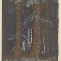 08 Im Tannenwald, Farbholzschnitt, um 1917, Gleimhaus.jpg