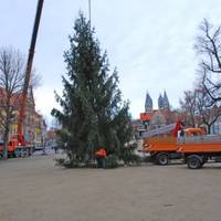 Weihnachtsbaum auf dem Domplatz steht