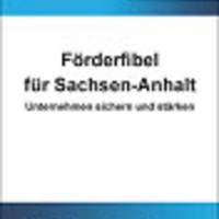 FÖRDERFIBEL der Landesinitiative NETWORK-KMU jetzt ONLINE