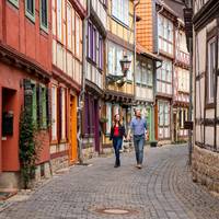 halberstadt,_rosenwinkel_c_harzer_tourismusverband,_a._kaßner_2_.jpg