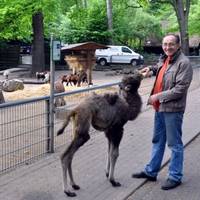 Große Freude im Tiergarten
