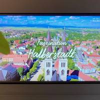 Willkommen in Halberstadt