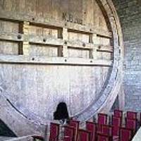 Halberstadt  - wieder ein Fall für das Guinnessbuch?
