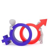 Gender Mainstreaming