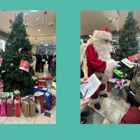 Der Wunschweihnachtsbaum in Halberstadt wird eröffnet