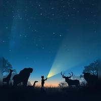 Wenn die Tiere schlafen gehen...