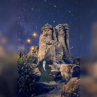 Weisheit der W&auml;lder