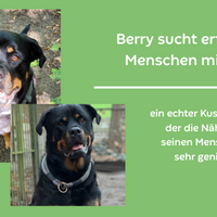 Berry sucht erfahrene Menschen mit Herz
