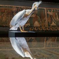 Sonderausstellung Stoffe mittelalterlicher Vogelwelten