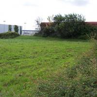 suelzeteiche-780.jpg