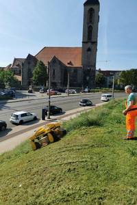 (c) Stadt- und Landschaftspflegebetrieb