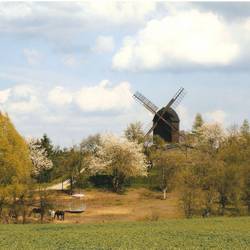 Bockwindmühle Badersleben