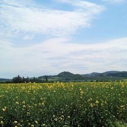 Rundfahrt duch den Harz