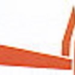 förderverein_dom.jpg