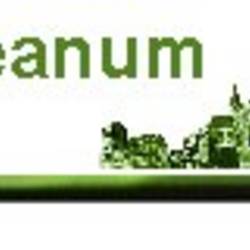 heineanum.jpg