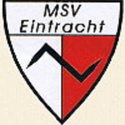 msv_logo.jpg