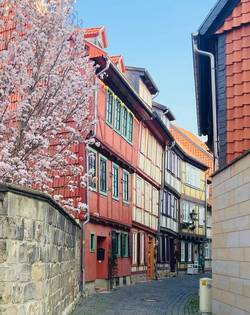 altstadt rosenwinkel nicole huhn