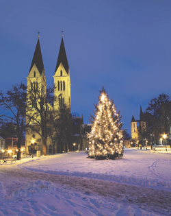 VAK    Weihnachtshöfe