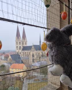 03 Osterhase genießt Domblick Städtisches Museum HBS