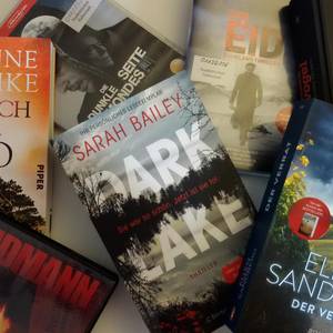 Cover Thriller © Stadtbibliothek Halberstadt