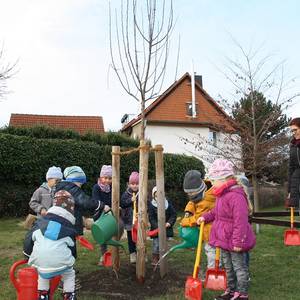 Zwei Apfelbäume für die Kita Storchennest in Emersleben © Stadt Halberstadt/Pressestelle