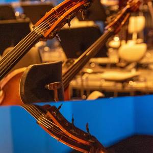 Presse_3.Sinfoniekonzert © Ray Behringer