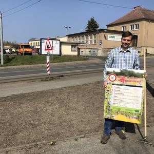 Bienenfreundliche Beetfläche an der Gröperstraße © Stadt Halberstadt