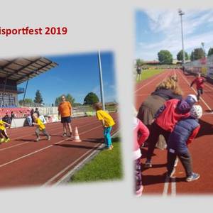 Kindersportfest „Bummi“ muss abgesagt werden - Foto aus 2019 © Stadt Halberstadt